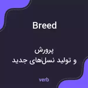 معنی breed به فارسی