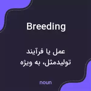معنی breeding به فارسی معنی breeding به فارسی