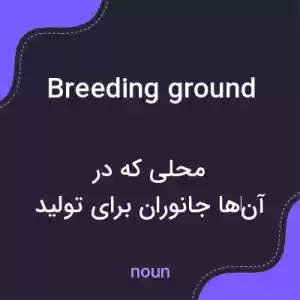 معنی breeding ground به فارسی معنی breeding ground به فارسی