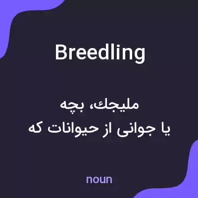 معنی breedling به فارسی معنی breedling به فارسی