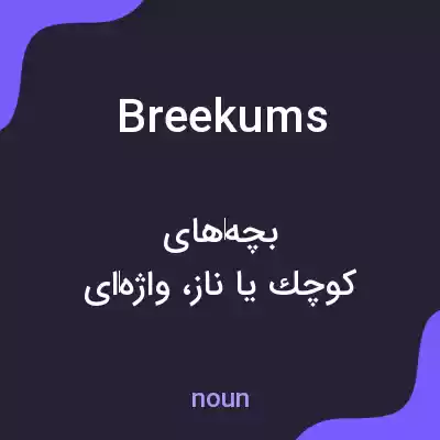 معنی breekums به فارسی معنی breekums به فارسی