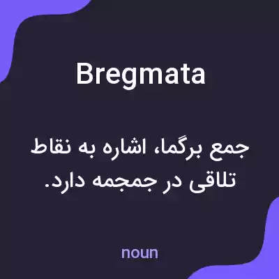 معنی bregmata به فارسی معنی bregmata به فارسی
