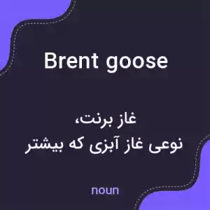معنی brent goose به فارسی معنی brent goose به فارسی