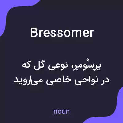 معنی bressomer به فارسی معنی bressomer به فارسی