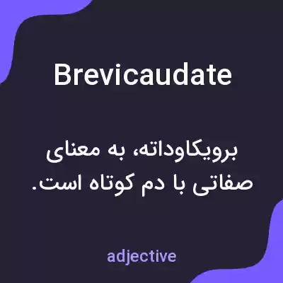 معنی brevicaudate به فارسی معنی brevicaudate به فارسی