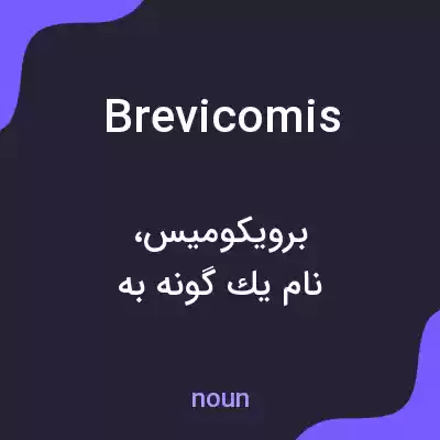 معنی brevicomis به فارسی معنی brevicomis به فارسی