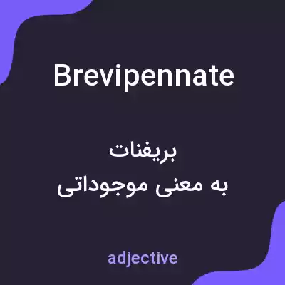 معنی brevipennate به فارسی