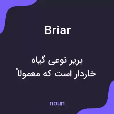 معنی briar به فارسی معنی briar به فارسی