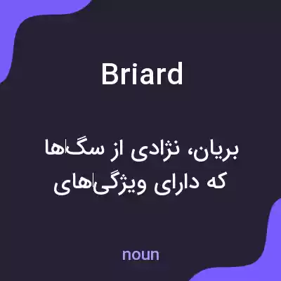 معنی briard به فارسی معنی briard به فارسی
