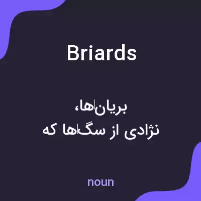 معنی briards به فارسی معنی briards به فارسی