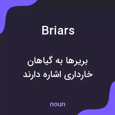 معنی briars به فارسی معنی briars به فارسی