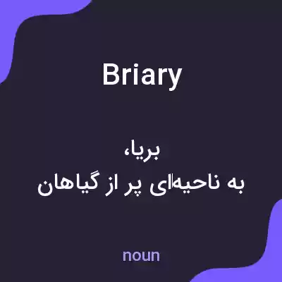 معنی briary به فارسی معنی briary به فارسی