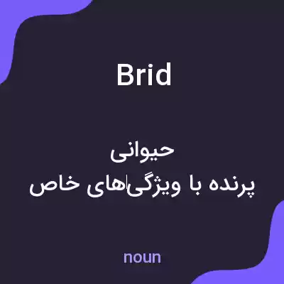 معنی brid به فارسی معنی brid به فارسی