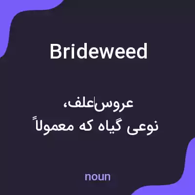 معنی brideweed به فارسی معنی brideweed به فارسی