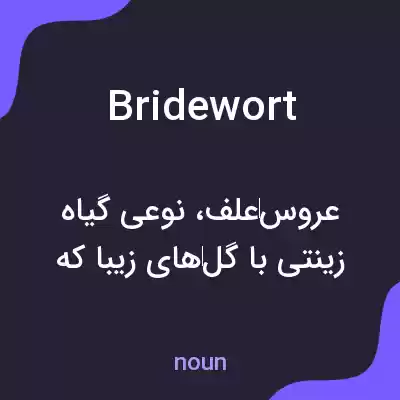 معنی bridewort به فارسی معنی bridewort به فارسی