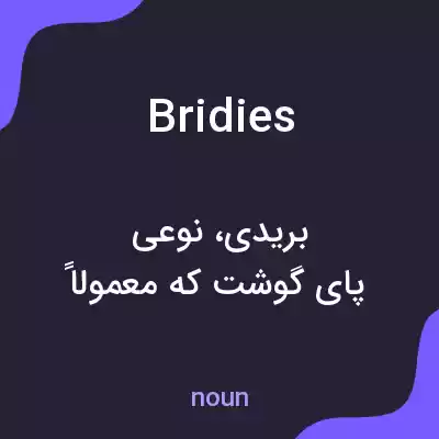 معنی bridies به فارسی