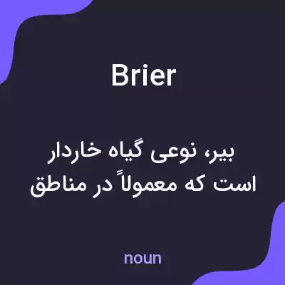 معنی brier به فارسی معنی brier به فارسی