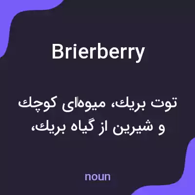 معنی brierberry به فارسی معنی brierberry به فارسی