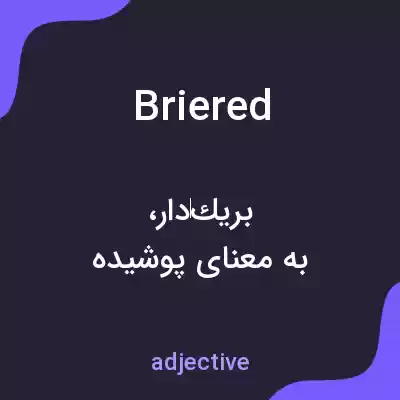 معنی briered به فارسی معنی briered به فارسی