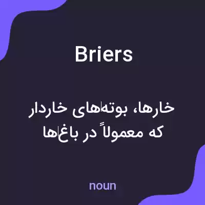 معنی briers به فارسی معنی briers به فارسی