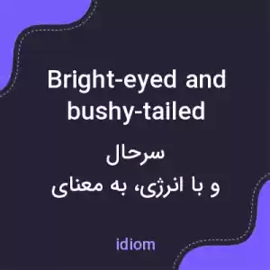 معنی bright-eyed and bushy-tailed به فارسی معنی bright-eyed and bushy-tailed به فارسی