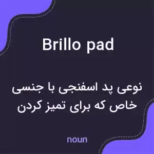 معنی brillo pad به فارسی معنی brillo pad به فارسی