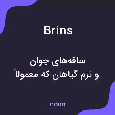 معنی brins به فارسی معنی brins به فارسی