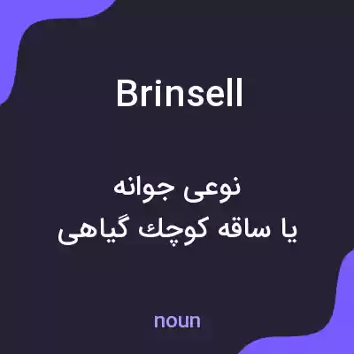 معنی brinsell به فارسی معنی brinsell به فارسی