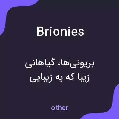 معنی brionies به فارسی معنی brionies به فارسی