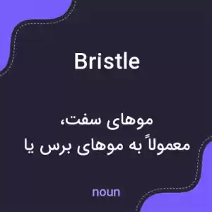 معنی bristle به فارسی معنی bristle به فارسی