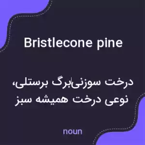 معنی bristlecone pine به فارسی معنی bristlecone pine به فارسی