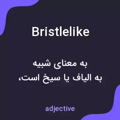 معنی bristlelike به فارسی معنی bristlelike به فارسی