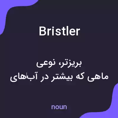 معنی bristler به فارسی معنی bristler به فارسی