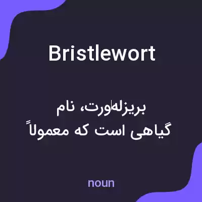 معنی bristlewort به فارسی معنی bristlewort به فارسی