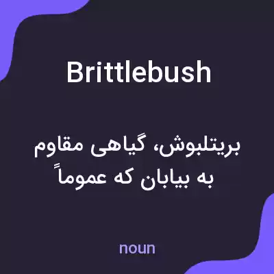 معنی brittlebush به فارسی