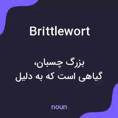 معنی brittlewort به فارسی معنی brittlewort به فارسی