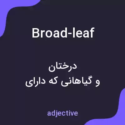 معنی broad-leaf به فارسی