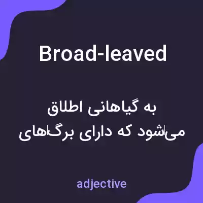 معنی broad-leaved به فارسی معنی broad-leaved به فارسی