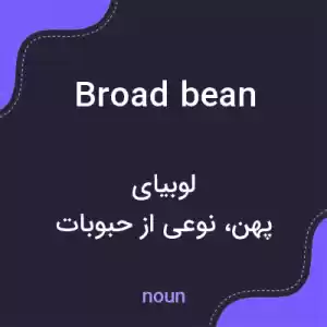 معنی broad bean به فارسی معنی broad bean به فارسی