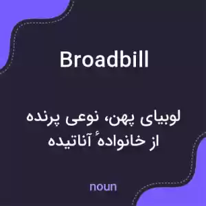 معنی broadbill به فارسی معنی broadbill به فارسی