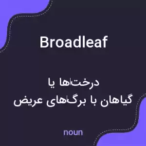 معنی broadleaf به فارسی معنی broadleaf به فارسی