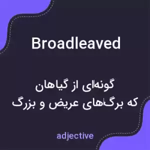 معنی broadleaved به فارسی معنی broadleaved به فارسی