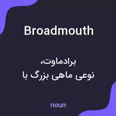 معنی broadmouth به فارسی
