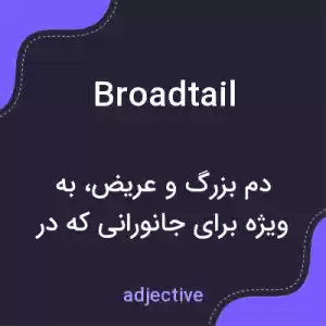 معنی broadtail به فارسی معنی broadtail به فارسی