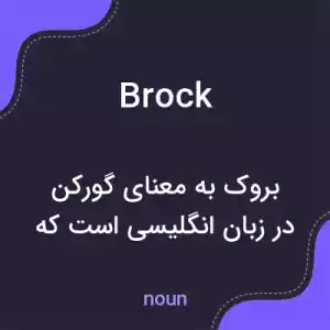 معنی brock به فارسی معنی brock به فارسی
