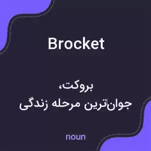 معنی brocket به فارسی معنی brocket به فارسی