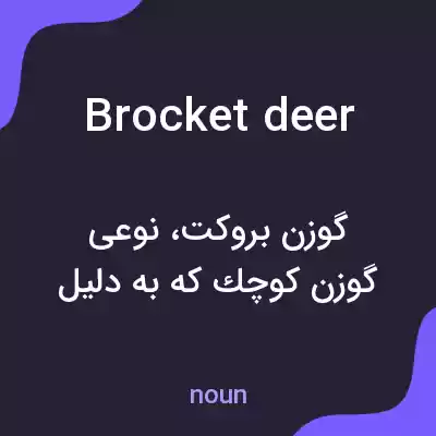 معنی brocket deer به فارسی معنی brocket deer به فارسی