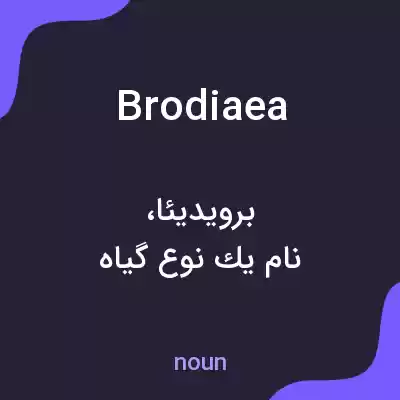 معنی brodiaea به فارسی معنی brodiaea به فارسی