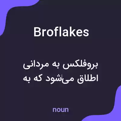 معنی broflakes به فارسی