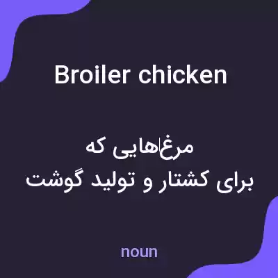 معنی broiler chicken به فارسی معنی broiler chicken به فارسی